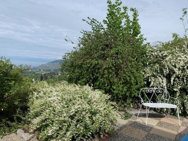 Magie Du Leman Bed & Breakfast Blonay Luaran gambar