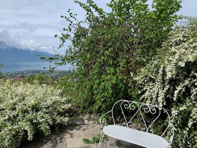 Magie Du Leman Bed & Breakfast Blonay Luaran gambar