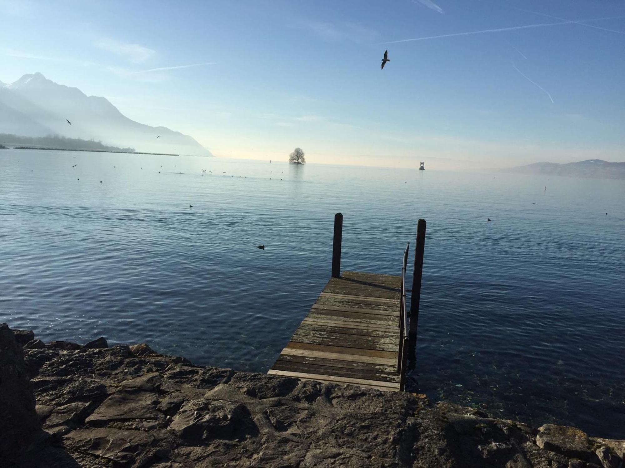 Magie Du Leman Bed & Breakfast Blonay Luaran gambar